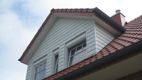 Dachsanierung & Gauben