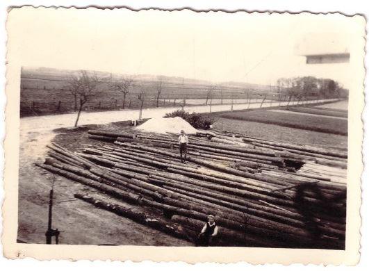 Bis in die 2000er jahre noch Lagerplatz für Holzstämme